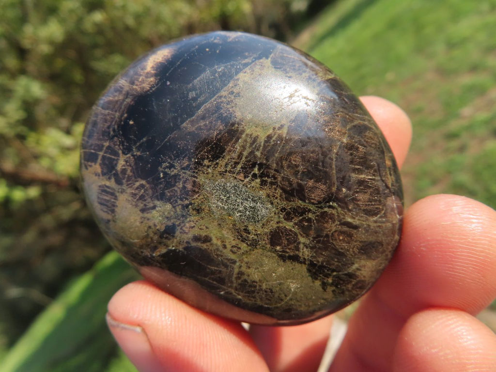 Polished Black Schorl Tourmaline Gallets  x 24 From Madagascar - TopRock