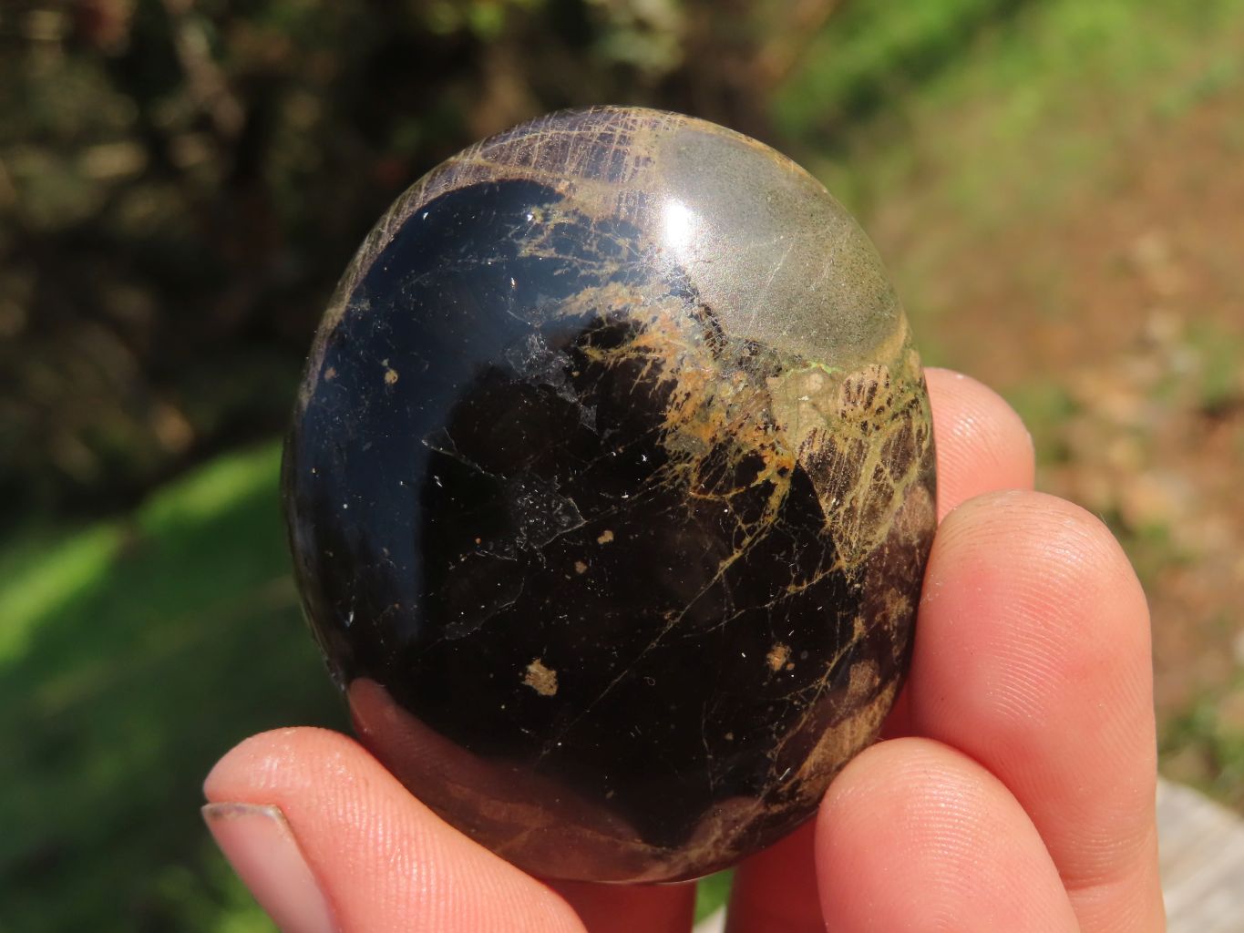 Polished Black Schorl Tourmaline Gallets  x 24 From Madagascar - TopRock