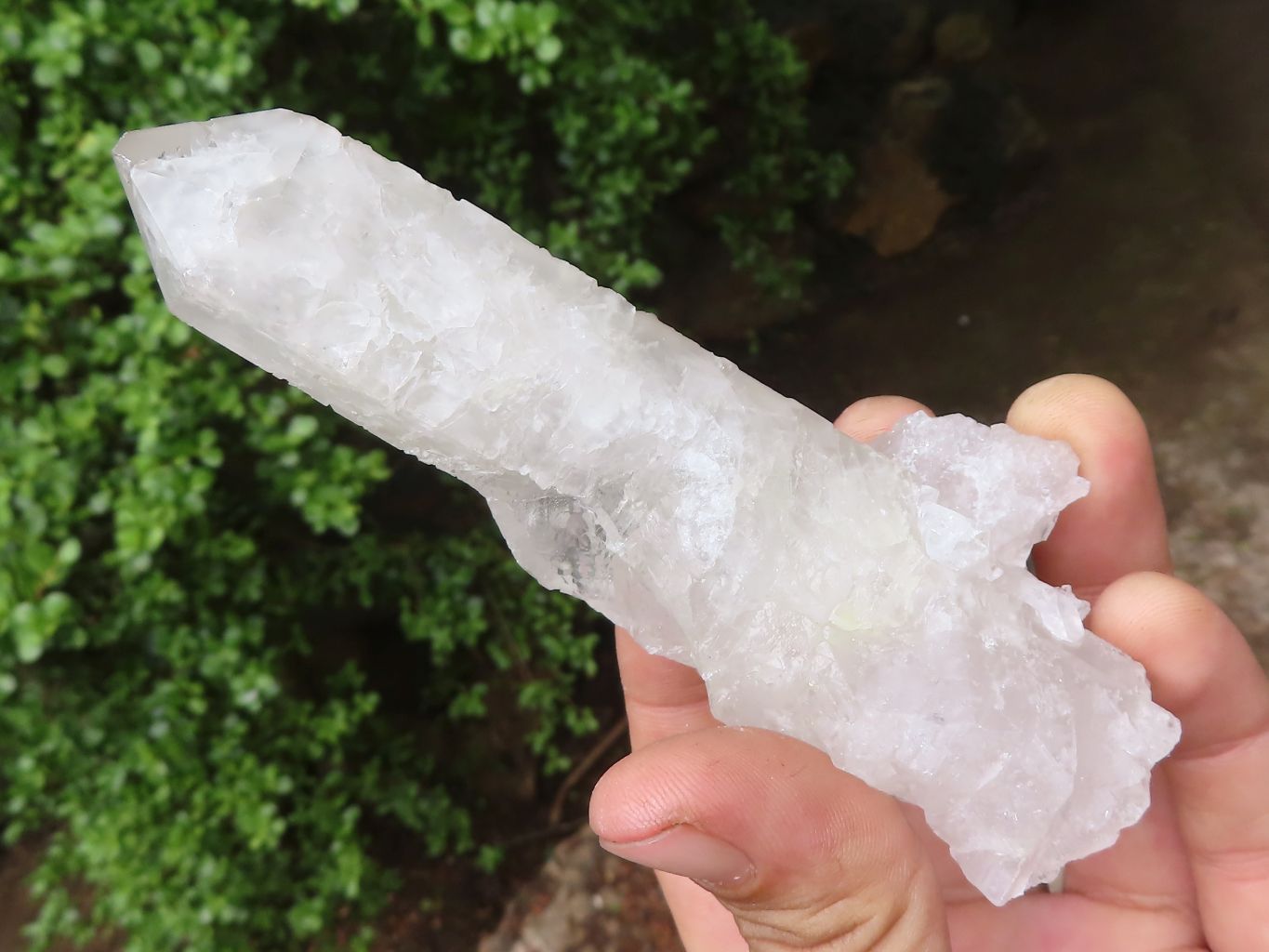 Natural Mixed Clear Quartz Crystal Specimens  x 25 From Zambia - Toprock Gemstones and Minerals 
