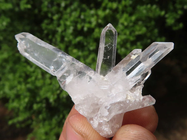Natural Mixed Clear Quartz Crystal Specimens  x 25 From Zambia - Toprock Gemstones and Minerals 