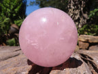 Polished Pink Rose Quartz Spheres  x 6 From Madagascar - TopRock