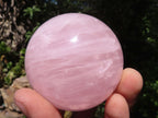 Polished Pink Rose Quartz Spheres  x 6 From Madagascar - TopRock