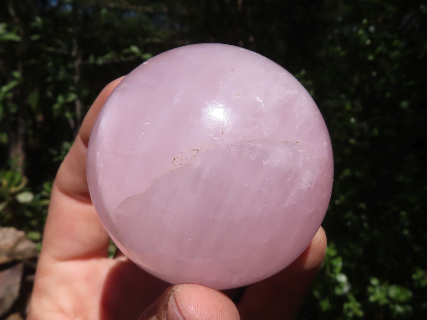 Polished Pink Rose Quartz Spheres  x 6 From Madagascar - TopRock