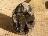 Polished Septerye Sauvage Dragons Egg Standing Free Form x 1 From Mahajanga, Madagascar - Toprock Gemstones and Minerals 