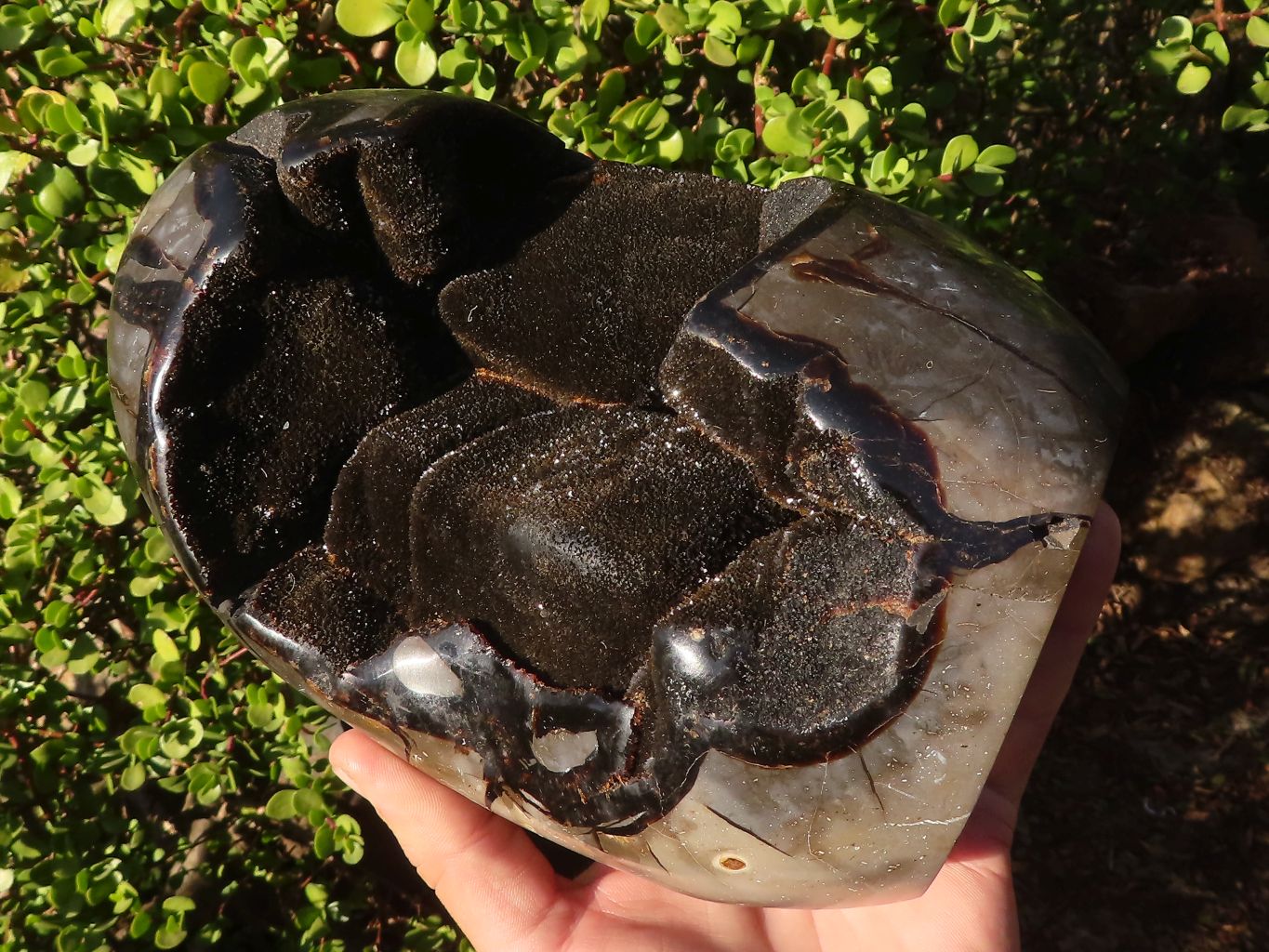 Polished Septerye Sauvage Dragons Egg Standing Free Form x 1 From Mahajanga, Madagascar - Toprock Gemstones and Minerals 