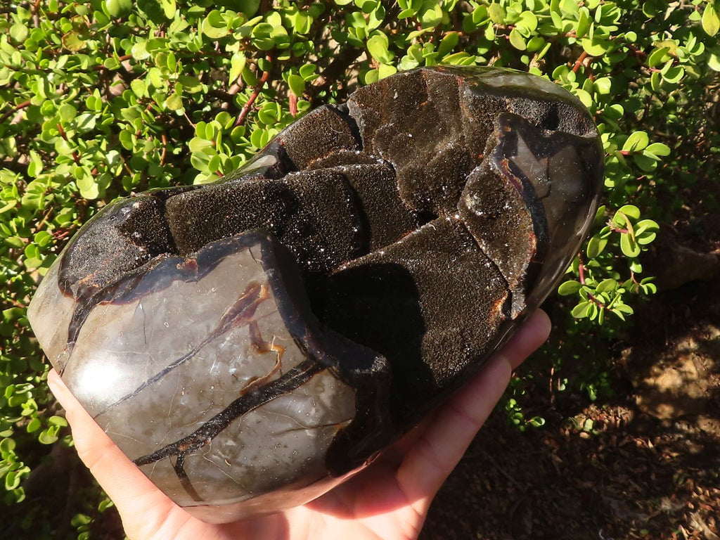 Polished Septerye Sauvage Dragons Egg Standing Free Form x 1 From Mahajanga, Madagascar - Toprock Gemstones and Minerals 