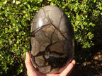 Polished Septerye Sauvage Dragons Egg Standing Free Form x 1 From Mahajanga, Madagascar - Toprock Gemstones and Minerals 