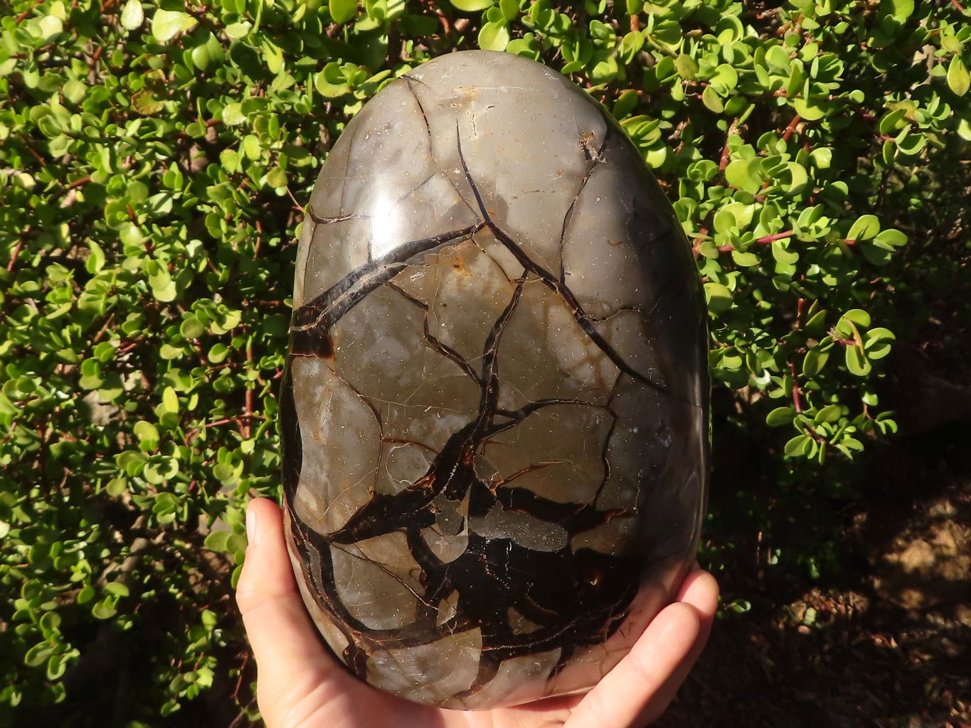 Polished Septerye Sauvage Dragons Egg Standing Free Form x 1 From Mahajanga, Madagascar - Toprock Gemstones and Minerals 