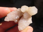 Natural Small Mixed Spirit Quartz Clusters  x 35 From Boekenhouthoek, South Africa - Toprock Gemstones and Minerals 