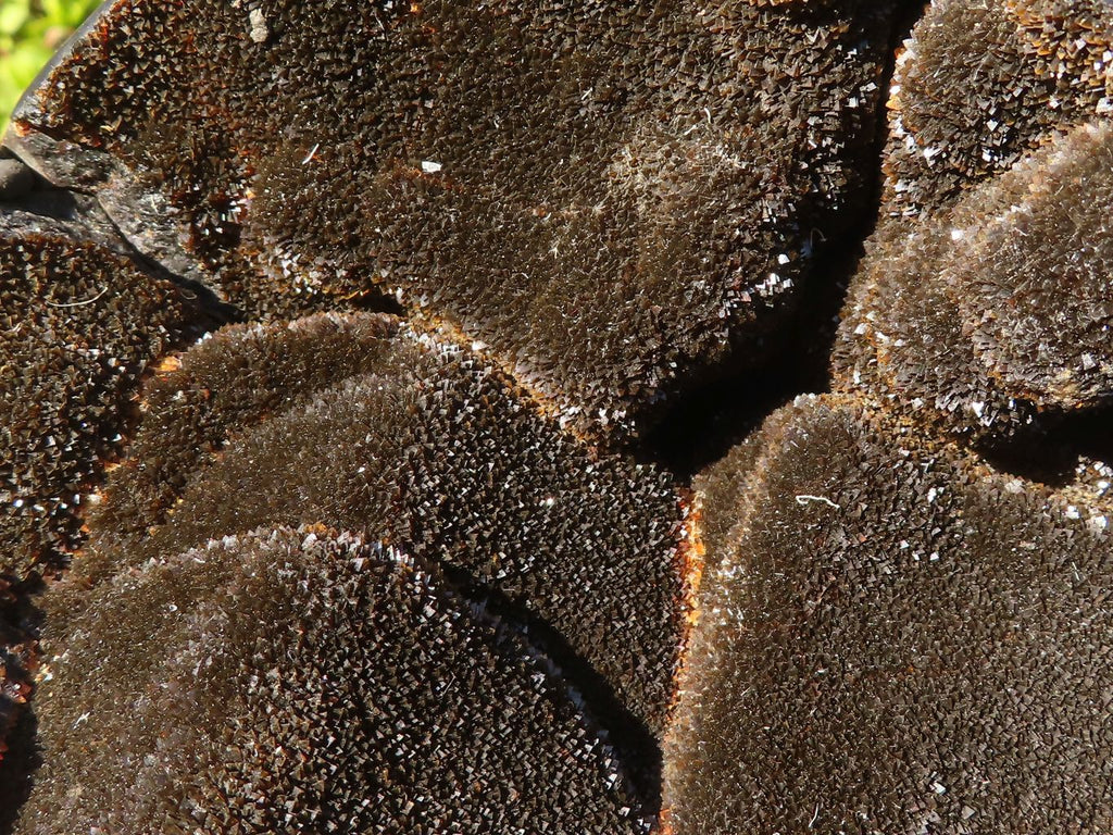 Polished Septerye Sauvage Dragons Egg Standing Free Form x 1 From Mahajanga, Madagascar - Toprock Gemstones and Minerals 