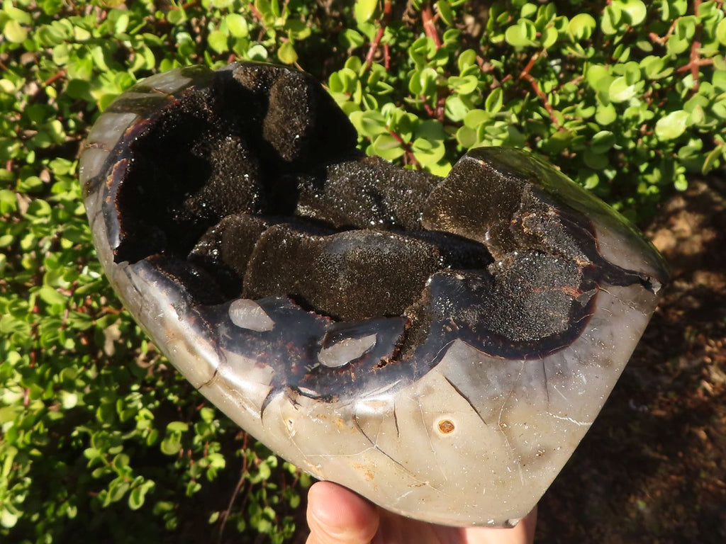 Polished Septerye Sauvage Dragons Egg Standing Free Form x 1 From Mahajanga, Madagascar - Toprock Gemstones and Minerals 