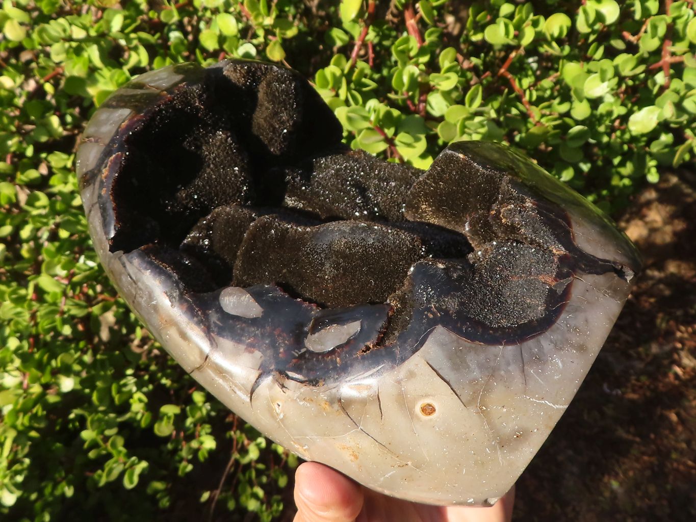 Polished Septerye Sauvage Dragons Egg Standing Free Form x 1 From Mahajanga, Madagascar - Toprock Gemstones and Minerals 