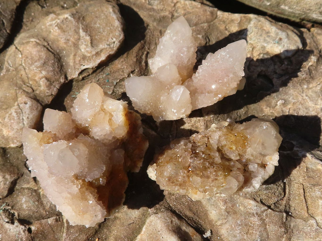 Natural Small Mixed Spirit Quartz Clusters  x 35 From Boekenhouthoek, South Africa - Toprock Gemstones and Minerals 