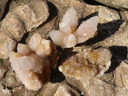 Natural Small Mixed Spirit Quartz Clusters  x 35 From Boekenhouthoek, South Africa - Toprock Gemstones and Minerals 