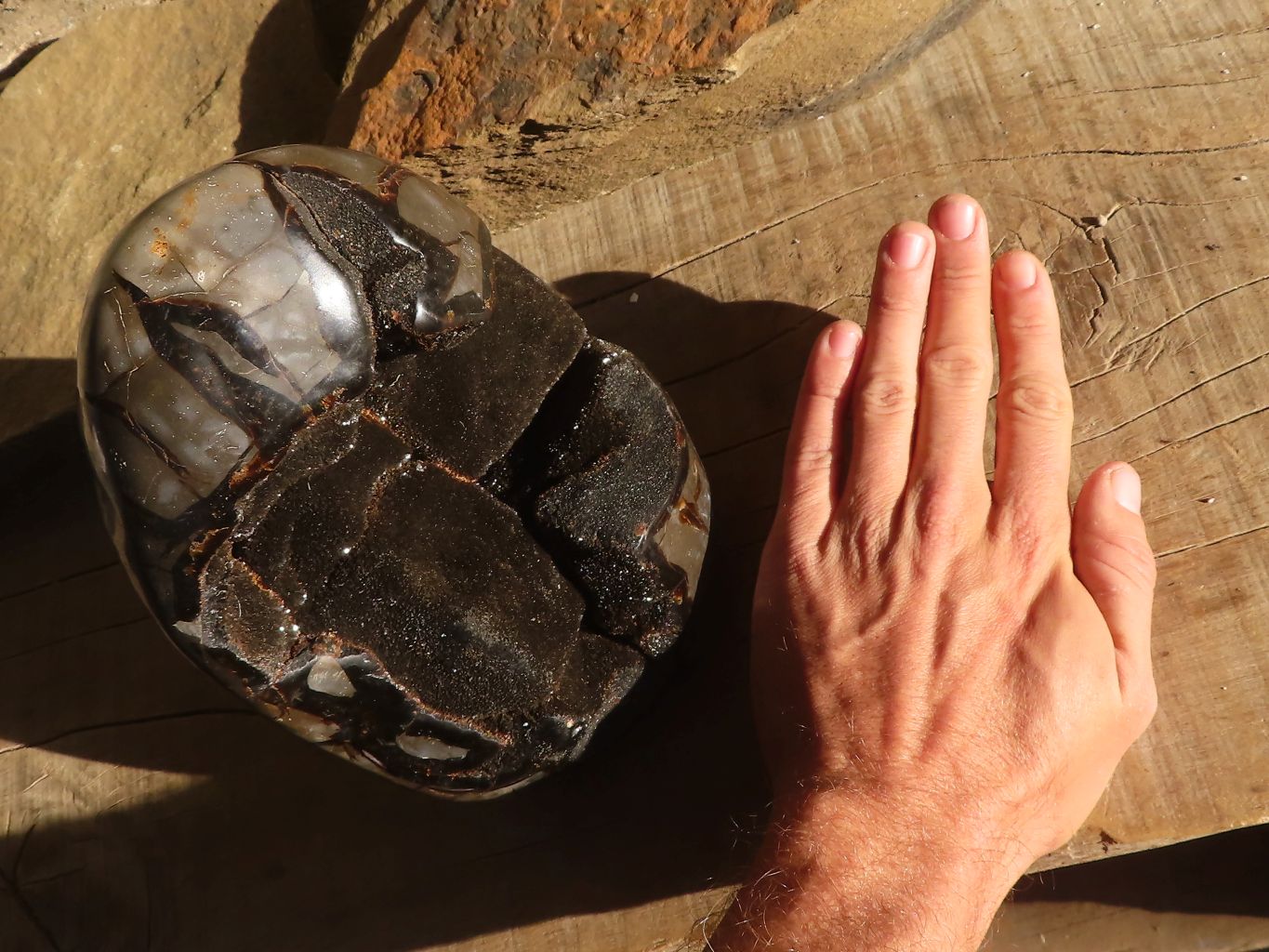 Polished Septerye Sauvage Dragons Egg Standing Free Form x 1 From Mahajanga, Madagascar - Toprock Gemstones and Minerals 