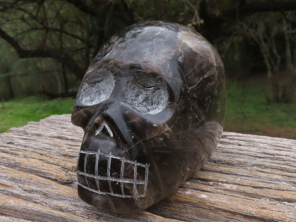 Polished Killer Morion Smokey Quartz Skull Carving x 1 From Madagascar - TopRock