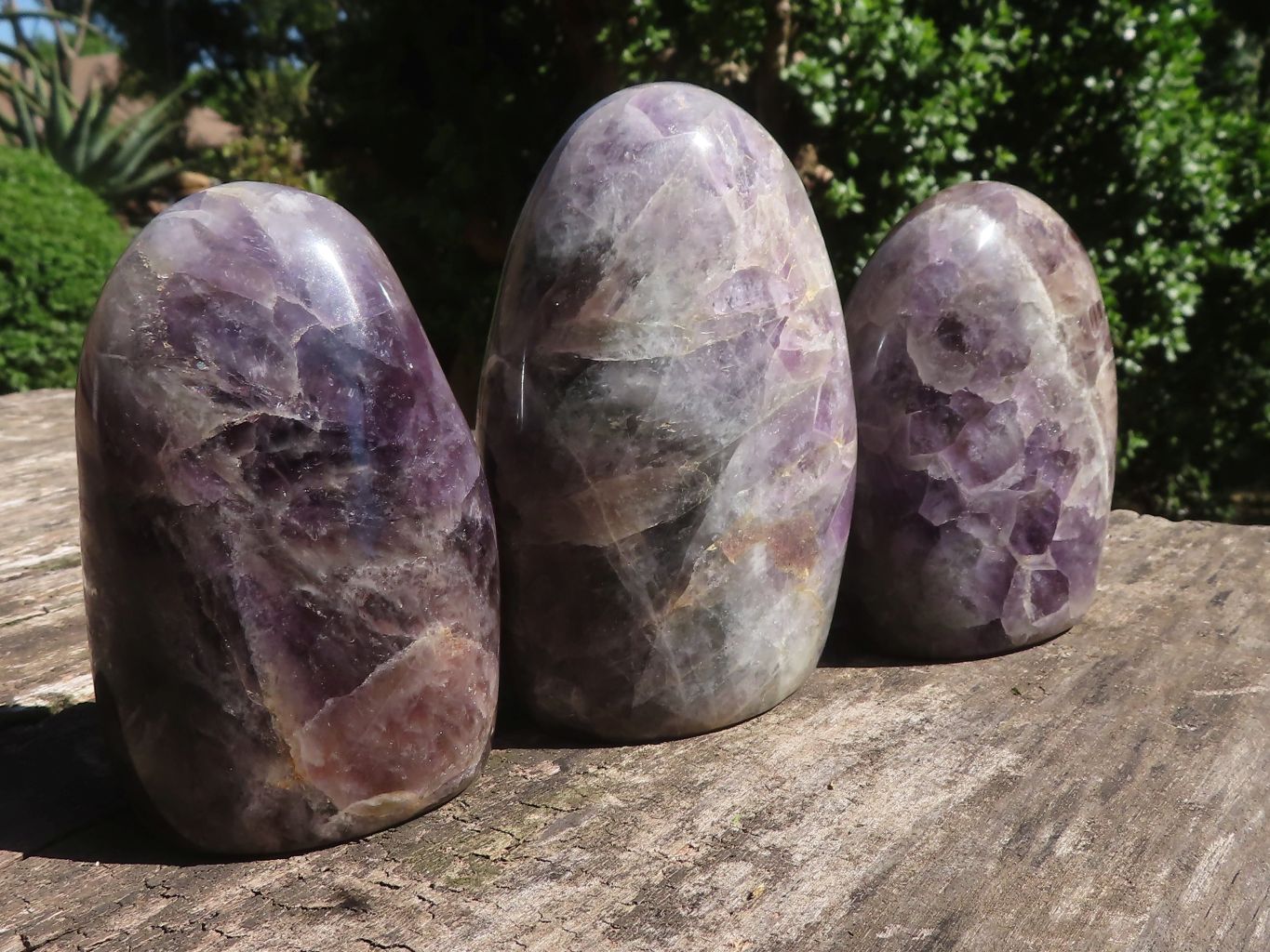 Polished Dream Flower Amethyst Standing Free Forms  x 3 From Madagascar - TopRock