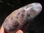 Polished Dream Flower Amethyst Standing Free Forms  x 3 From Madagascar - TopRock