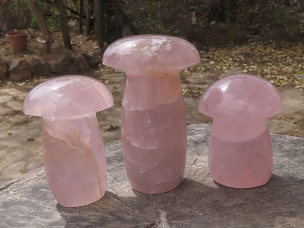 Polished Large Gorgeous Gemmy Pink Star Rose Quartz Mushrooms  x 3 From Madagascar