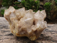 Natural White Phantom Smokey Quartz Clusters  x 2 From Luena, Congo - Toprock Gemstones and Minerals 
