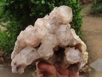 Natural White Phantom Smokey Quartz Clusters  x 2 From Luena, Congo - Toprock Gemstones and Minerals 