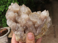 Natural White Phantom Smokey Quartz Clusters  x 2 From Luena, Congo - Toprock Gemstones and Minerals 