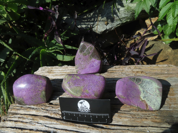 Polished Stichtite Free Forms With Green Serpentine x 4 From Barberton, South Africa - TopRock
