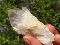 Natural Cascading Smokey Quartz Clusters x 6 From Luena, Congo - Toprock Gemstones and Minerals 