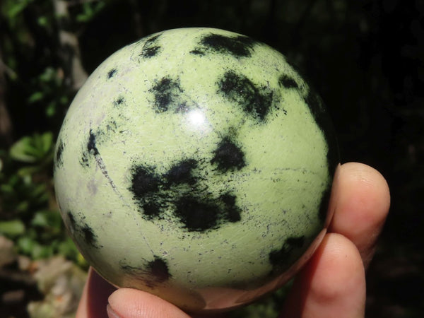 Polished Leopard Stone Spheres  x 4 From Zimbabwe - TopRock