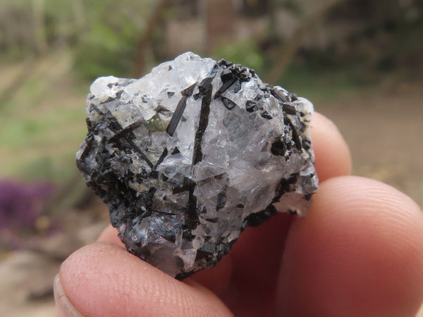 Natural Small Black Tourmaline / Schorl Crystals  x 70 From Zambia