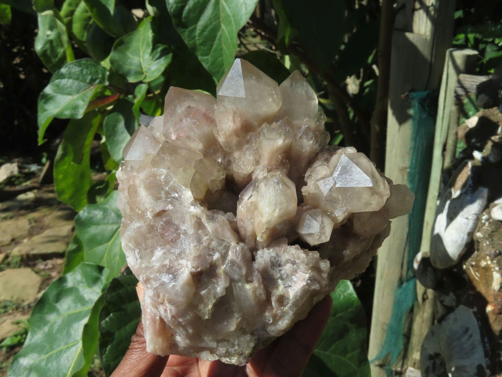 Polished Smokey Phantom Clusters x 2 From Lwena, Congo - TopRock