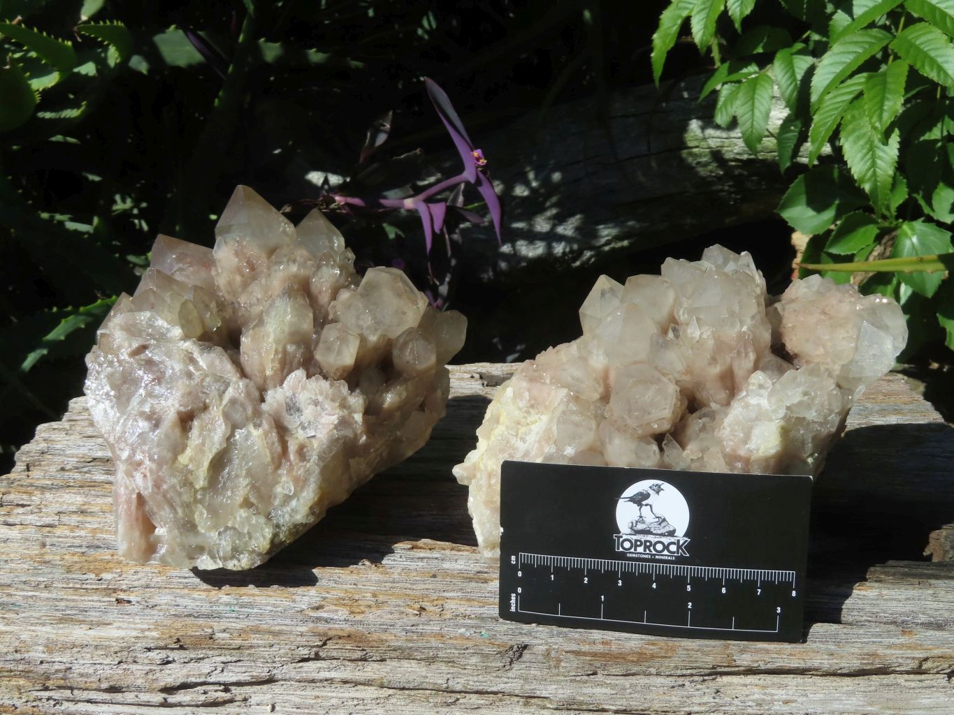 Polished Smokey Phantom Clusters x 2 From Lwena, Congo - TopRock