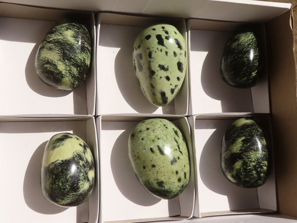 Polished Leopard Stone Gallets  x 6 From Zimbabwe - Toprock Gemstones and Minerals 
