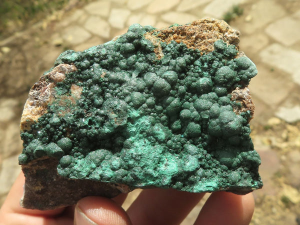 Natural Micro Botryoidal Malachite on Matrix Specimens  x 6 From Tenke Fungurume, Congo