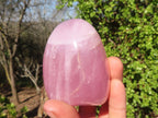 Polished Gemmy Pink Rose Quartz Standing Free Forms x 6 From Madagascar - Toprock Gemstones and Minerals 