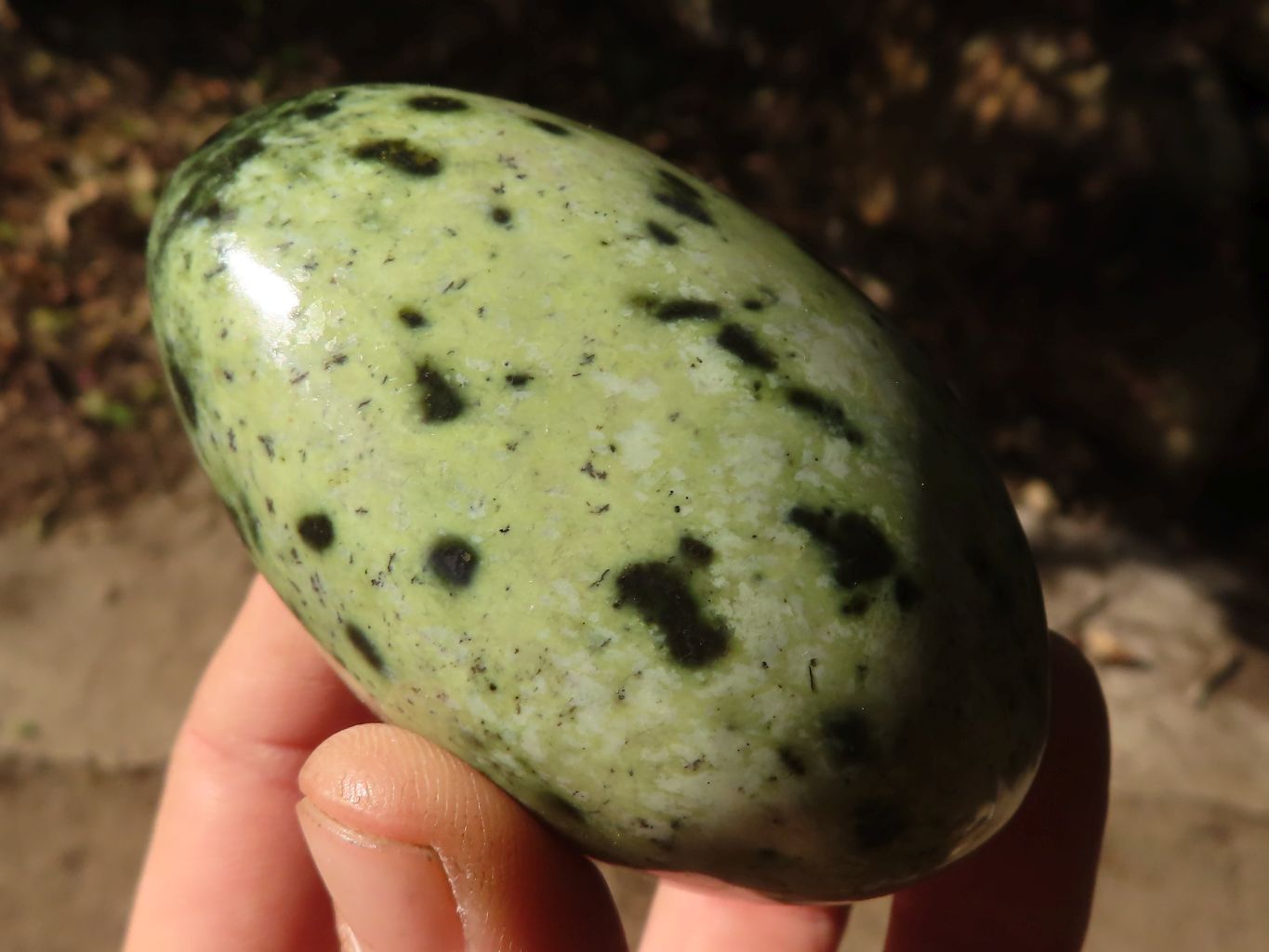 Polished Leopard Stone Gallets  x 6 From Zimbabwe - Toprock Gemstones and Minerals 
