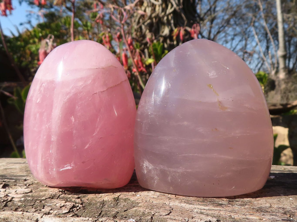 Polished Gemmy Pink Rose Quartz Standing Free Forms x 6 From Madagascar - Toprock Gemstones and Minerals 