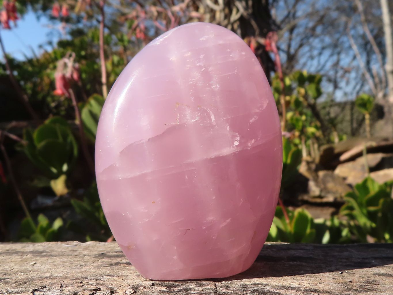 Polished Gemmy Pink Rose Quartz Standing Free Forms x 6 From Madagascar - Toprock Gemstones and Minerals 
