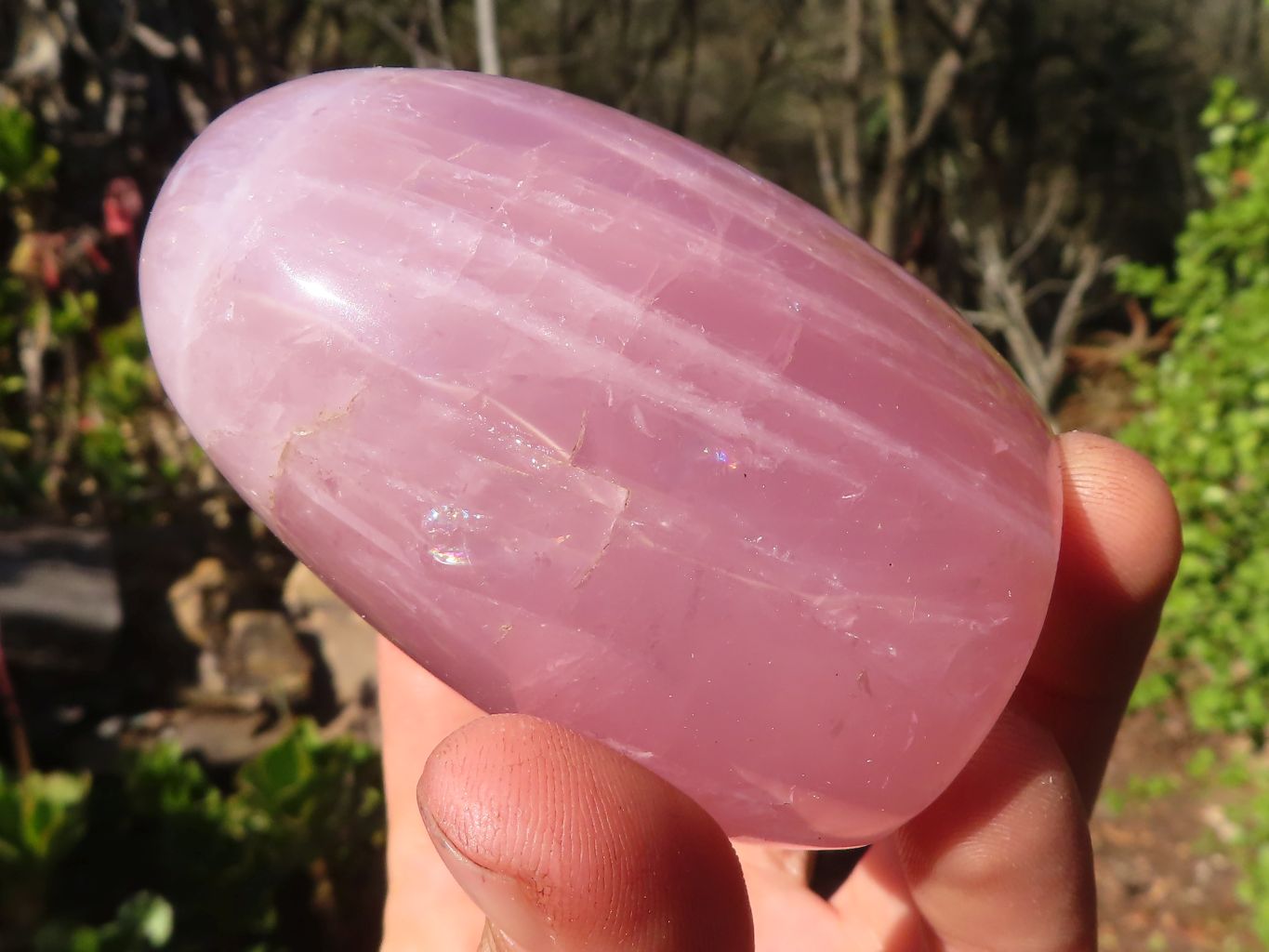 Polished Gemmy Pink Rose Quartz Standing Free Forms x 6 From Madagascar - Toprock Gemstones and Minerals 
