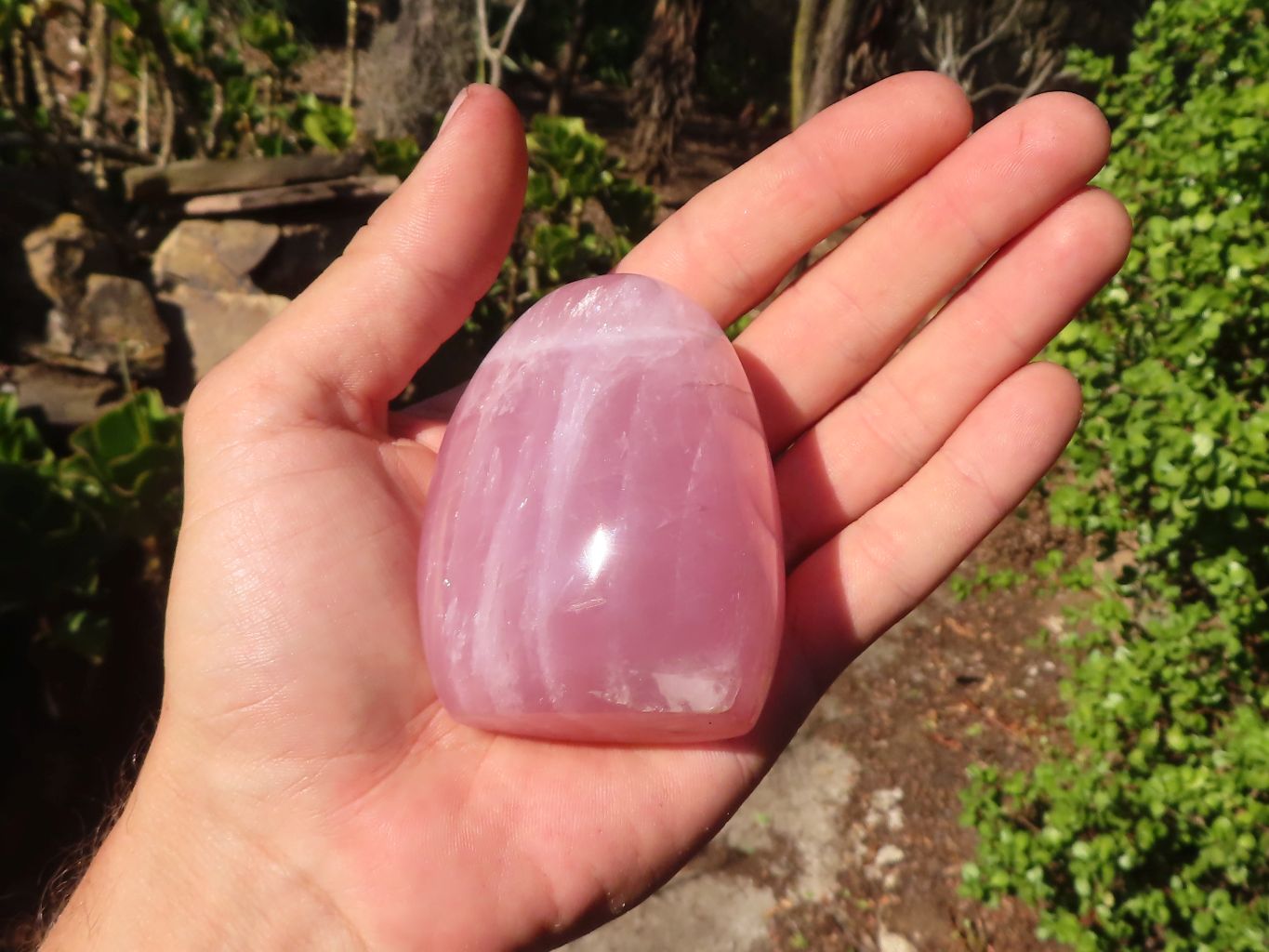 Polished Gemmy Pink Rose Quartz Standing Free Forms x 6 From Madagascar - Toprock Gemstones and Minerals 
