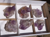 Natural Jacaranda Amethyst Crystal Clusters  x 6 From Mumbwa, Zambia - TopRock