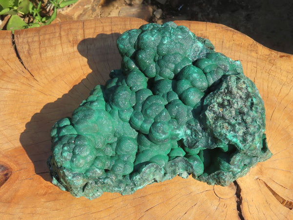 Natural Extra Large Botryoidal Malachite Specimen x 1 From Kolwezi, Congo - TopRock