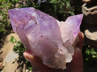Natural Jacaranda Amethyst Crystal Clusters  x 6 From Mumbwa, Zambia - TopRock