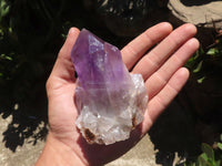 Natural Jacaranda Amethyst Crystal Clusters  x 6 From Mumbwa, Zambia - TopRock