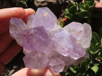 Natural Jacaranda Amethyst Crystal Clusters  x 6 From Mumbwa, Zambia - TopRock