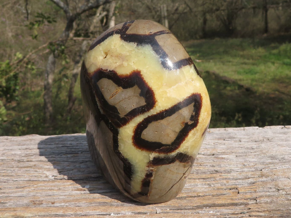 Polished Septerye (Calcite & Aragonite) Standing Free Form  x 1 From Madagascar - TopRock