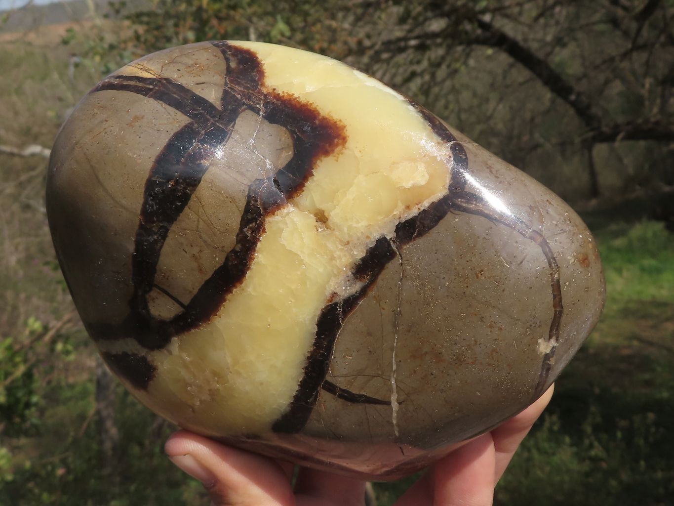 Polished Septerye (Calcite & Aragonite) Standing Free Form  x 1 From Madagascar - TopRock
