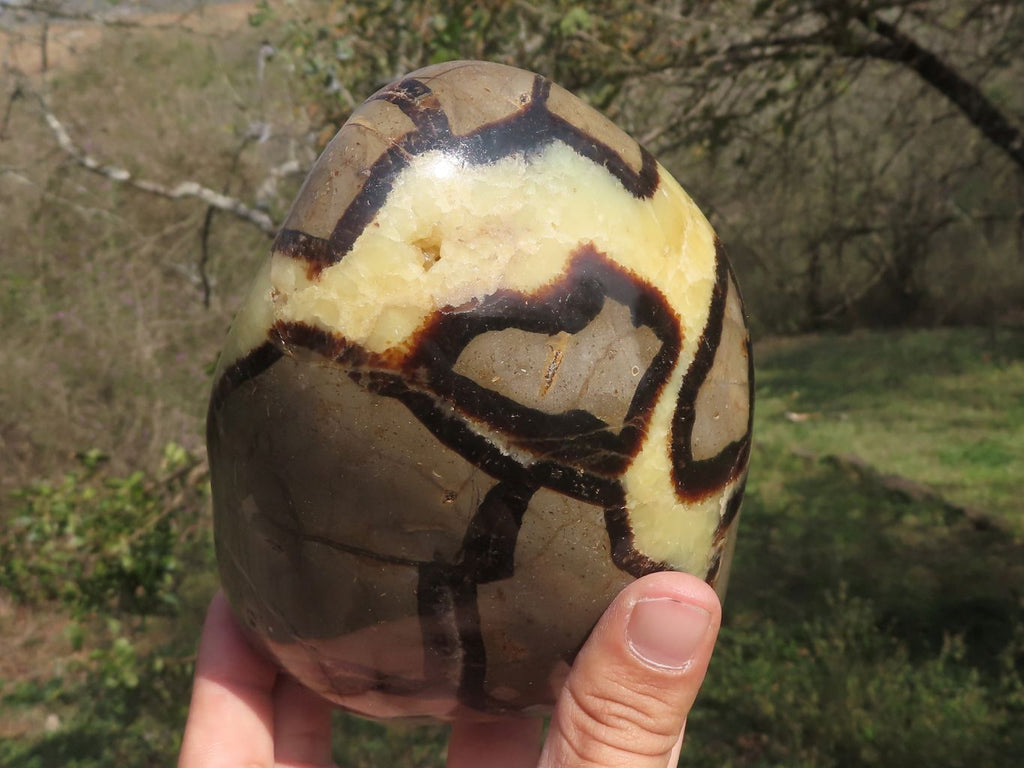 Polished Septerye (Calcite & Aragonite) Standing Free Form  x 1 From Madagascar - TopRock