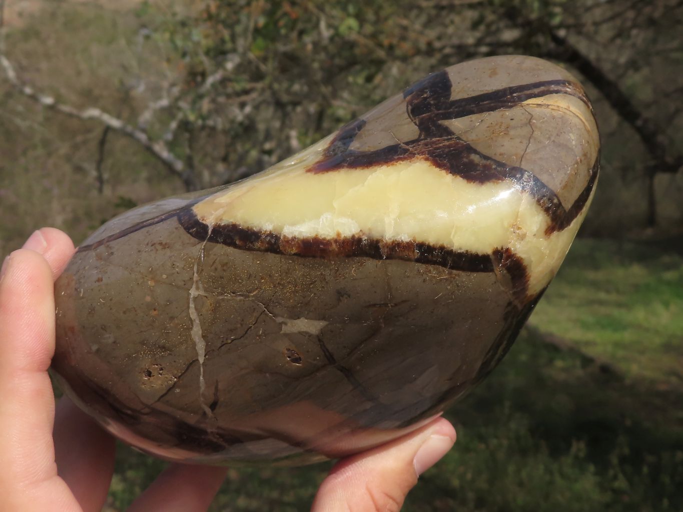 Polished Septerye (Calcite & Aragonite) Standing Free Form  x 1 From Madagascar - TopRock