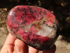 Polished Rare Red Rhodonite Free Forms x 7 From Zimbabwe - Toprock Gemstones and Minerals 